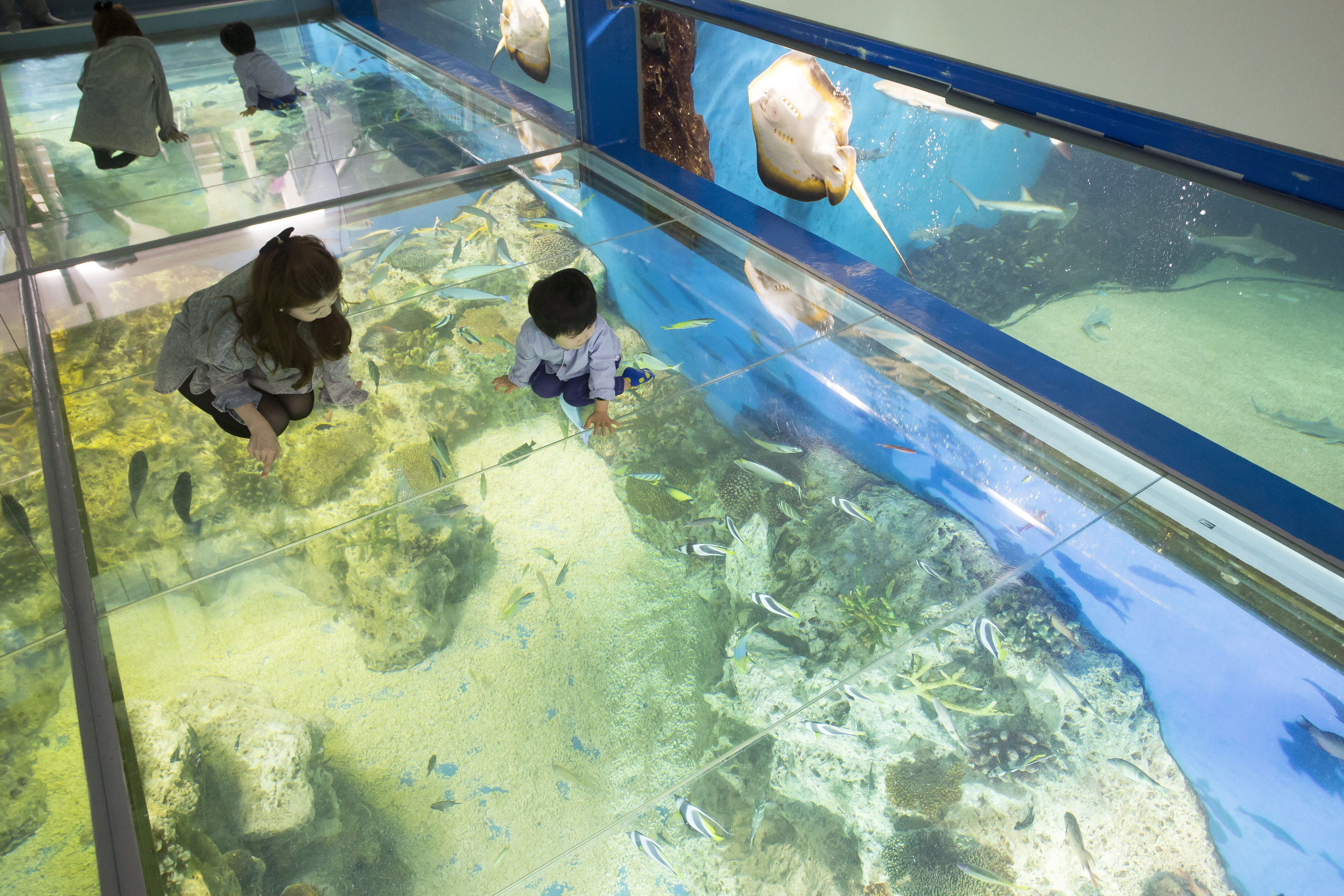 越前松島水族館